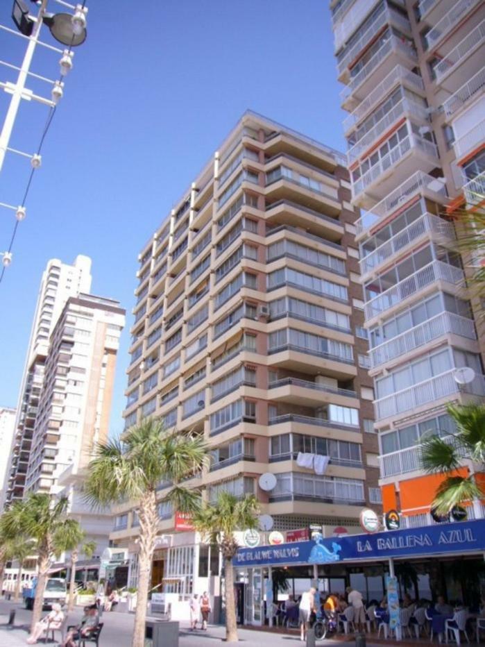 Carolina - Fincas Arena Benidorm Bagian luar foto